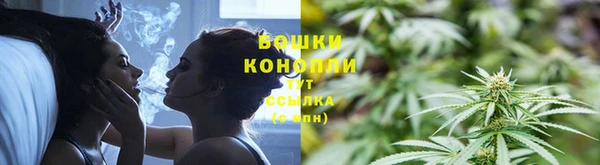 молекула духа Белоозёрский